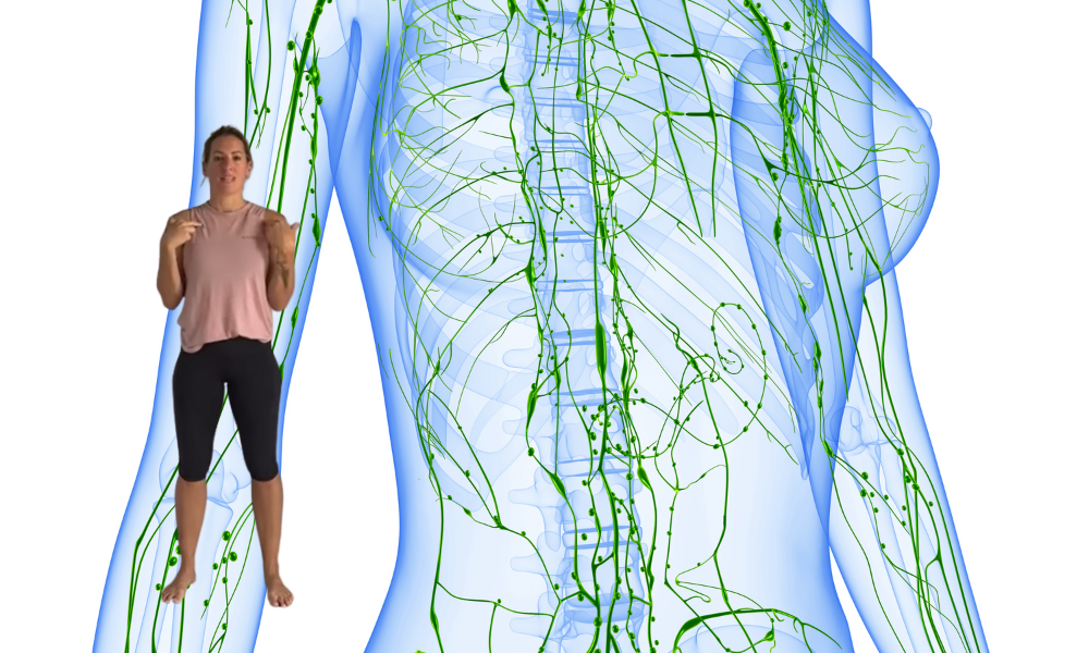 Lymphatic Flow and Chronic Illness: Why Movement, Hydration, and